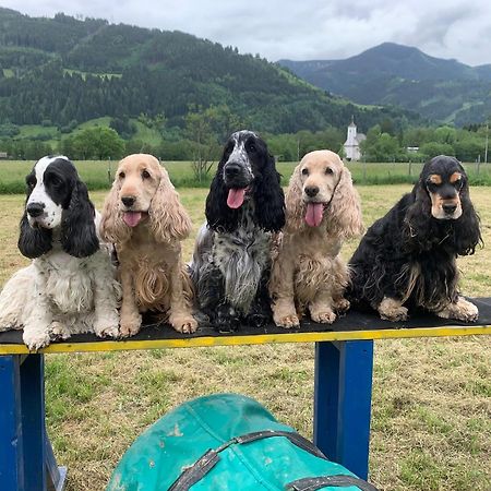 Chaletdorf Zellersee Maishofen Luaran gambar
