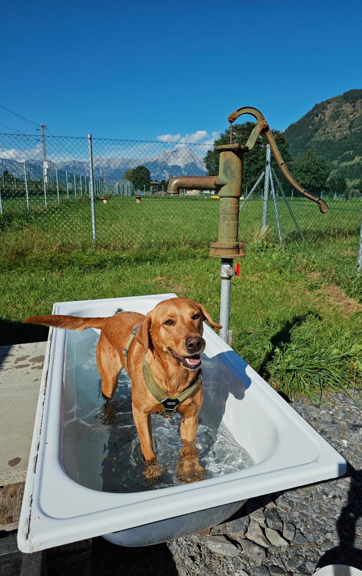 Chaletdorf Zellersee Maishofen Luaran gambar